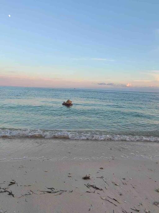 Your Happy Place On The Beach! Key Colony Beach المظهر الخارجي الصورة